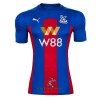 Officiële Voetbalshirt Crystal Palace Thuis 2020-21 - Heren